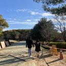 모브(MOV) | (야외 웨딩스냅) 모브앤바인 mov and vine 촬영 후기