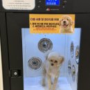 올리스24 두류공원점 이미지