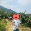 울산 아이랑 가볼만한 곳 저탄소 산딸기 따기 체험 미니농원 후기