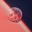 더이쁨풀의원 이미지