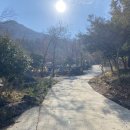 주작산별소리캠핑장 | 전남 강진 주작산 별소리 캠핑장 사이트 둘러보기 D1, D2 (C1-3) 애견동반캠핑장