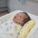 부산 명지 웰하이 산후조리원 1주일 후기