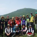 밀양 제약산 수미봉(1119m) 철구소 주암계곡 물길산행(130811) 이미지