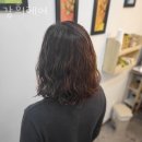 강희헤어샵 - 세종특별자치시 | 강희헤어샵