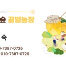 섬강농장 이미지