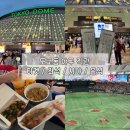 애니크리닝 | 여행] 도쿄돔에서 일본 프로 야구 NPB 직관하기! (4층 중앙 E29구역 좌석, 시야, 티켓 수령, 먹거리 후기)