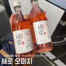 달구고 | 새로 오미자 파는곳 가격 도수 솔직후기, 요즘 난리난 그 소주