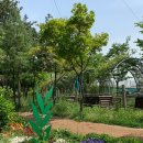 가능동주민센터(후문) 이미지