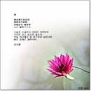 66은 종래로 36이니라 이미지