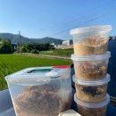 연님농장 이미지