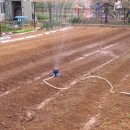 고성농장 이미지