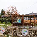 화악산유통 | 돌담과 한옥이 있는 고즈넉한 힐링로드 부북면 퇴로 마을