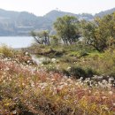 낙동강자전거길6 이미지