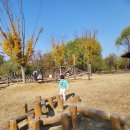 새보람유치원 이미지