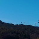 경암철길마을 이미지