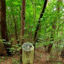 가탄교 입구 이미지