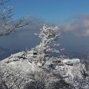 【백두C팀】덕유산 향적봉 설경산행(15.1.13 화요일) 이미지