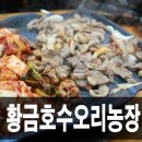 황금호수오리농장 | 이마트 은평점 인근 황금호수오리농장에서 먹은 오리로스구이 맛집