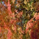 능선길 118 이미지