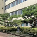 기흥구보정동주민센터옥상_R | [첼로그]난 (탄천)과 (한결이)만 있으면 돼