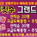 강화빅토리주짓수