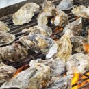 천북굴단지 이미지