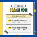 잉글리쉬바나나