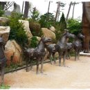 안면도쥬라기공원 이미지