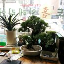 월드건축인테리어