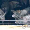 이영재농장 이미지