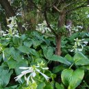 시립미술관(운암제) 이미지