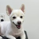 멍품유치원 이미지