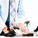 수원-0121 이미지