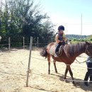 당진 승마장 이미지