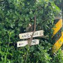 세오니네 이미지