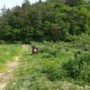 복자농장 이미지