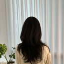골든살롱 | [경기 화성] 동탄 레이어드C컬펌 골든아워살롱 동탄점 지수원장 후기