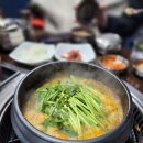 수일생오리 이미지