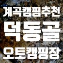 덕동골 오토캠핑장/ D3 사이트 후기 /여름 계곡 캠핑 추천!