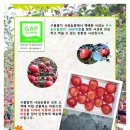 흥부골농원