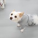 마이리틀메이트 이미지