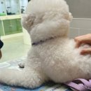 군포로476번길 이미지