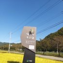 대가야호스텔 이미지