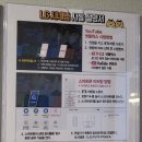 벌툰영종