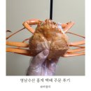 홍게 산지직송 택배 영남수산 찜해먹고 라면으로 마무리