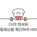 화이트리에(포항양덕점) 이미지