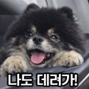 돌기와 토담집 이미지