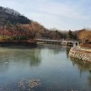 나무테크.나무야 이미지