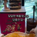 와이지메디칼 이미지