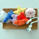 강아지탐험대 이미지